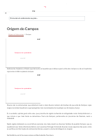 Origem do Campos.pdf